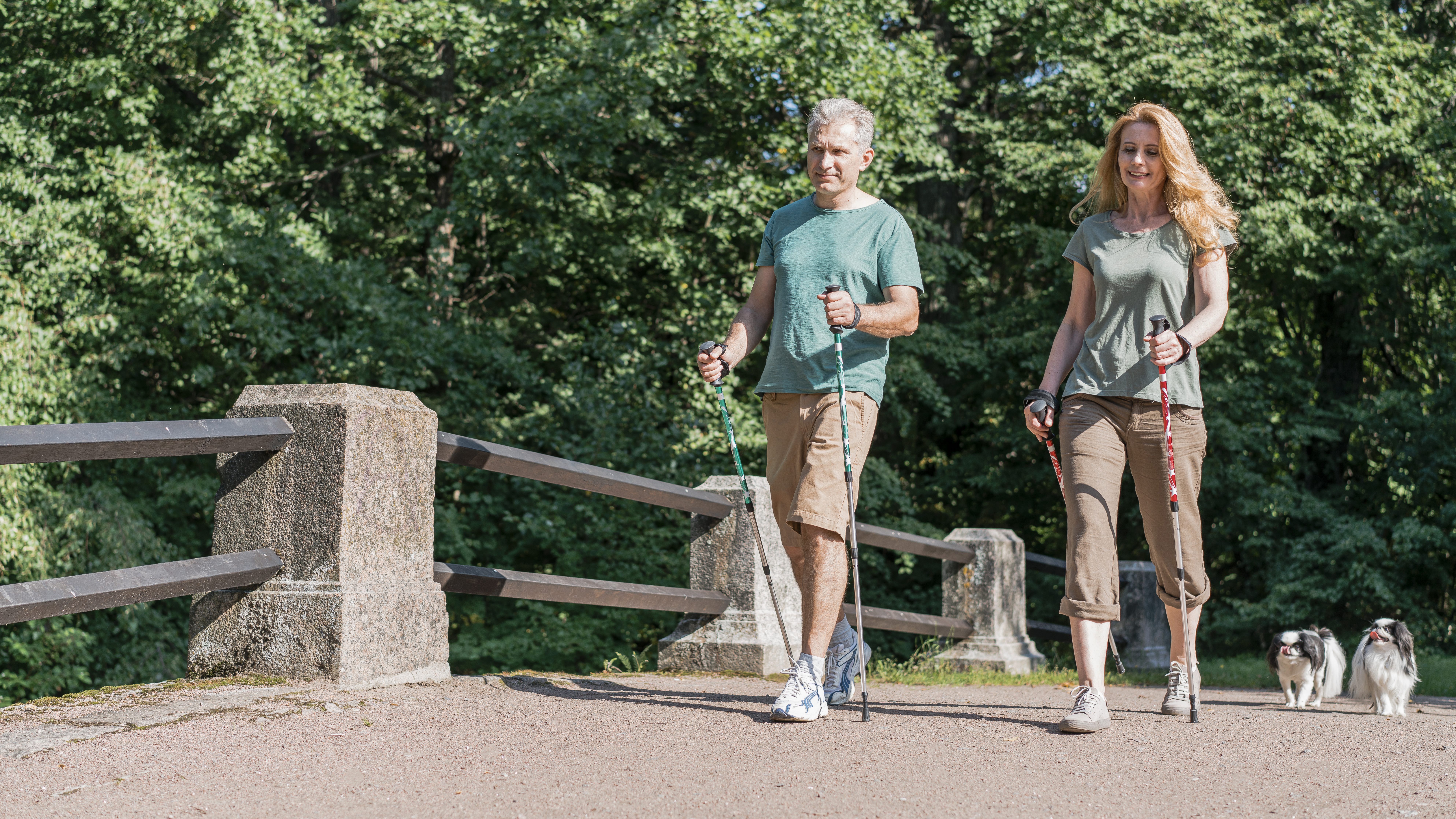 elderly-couple-using-trekking-poles-long-shot